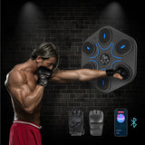 RIS-China Music Boxing Training Machine MOQ:300